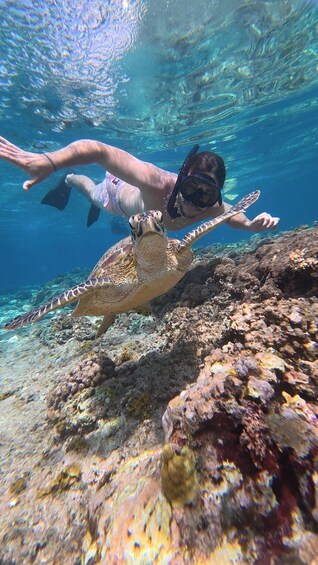 A person swimming with a sea turtle near a coral reef. 4