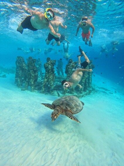 Divers swimming underwater with a turtle. 3