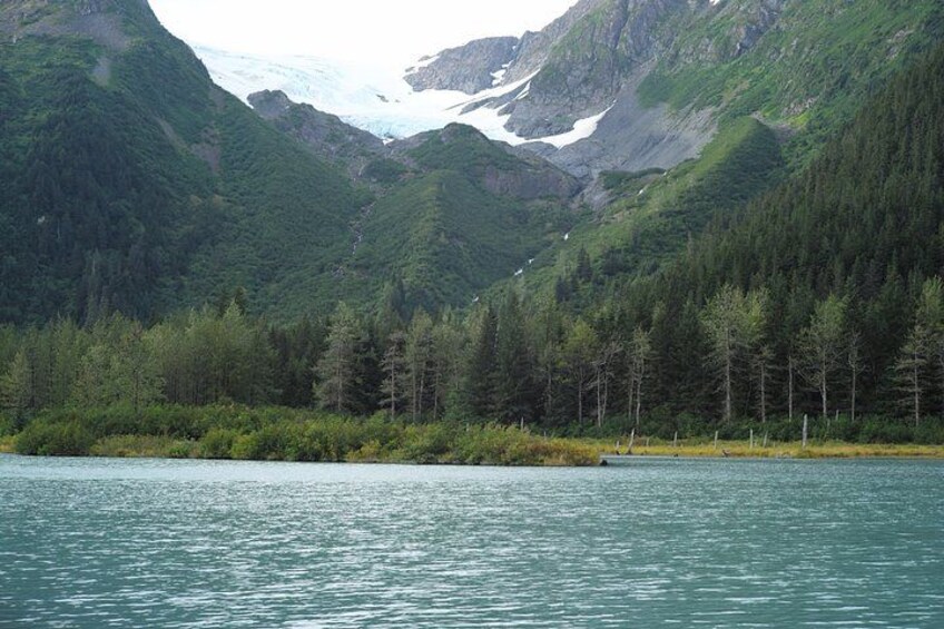 A lake surrounded by dense forest and mountains with a glacier in the background. 5