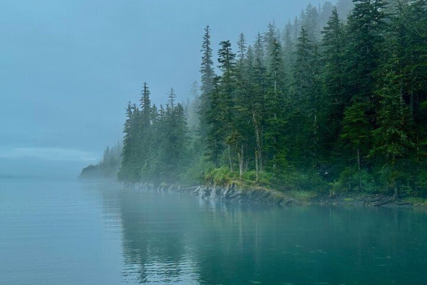 A calm lake surrounded by dense forest. 5