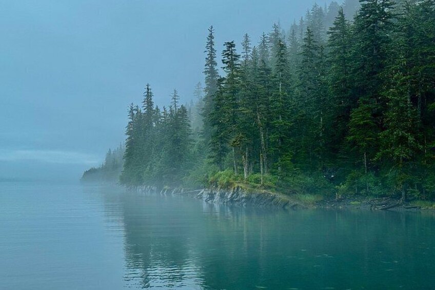 Whittier to Anchorage Post Cruise Scenic Transfer Tour 5