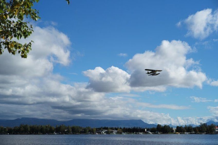 Whittier to Anchorage Post Cruise Scenic Transfer Tour 3