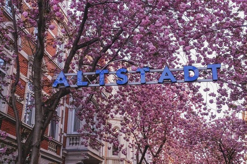 A sign reading 'ALTSÄDTE' with cherry blossoms in the background. 1