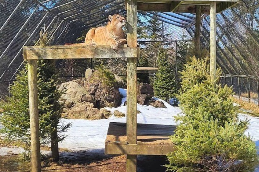 Two Rivers Wildlife Park Tour 3