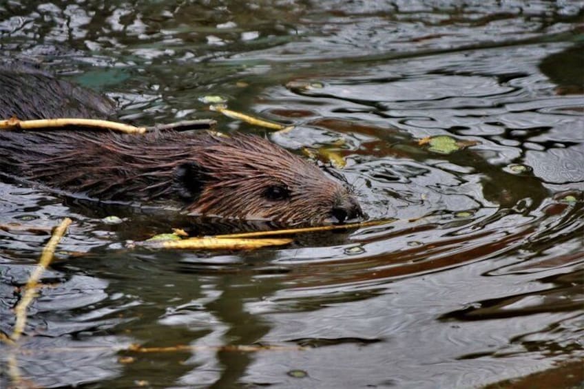 Two Rivers Wildlife Park Tour 2