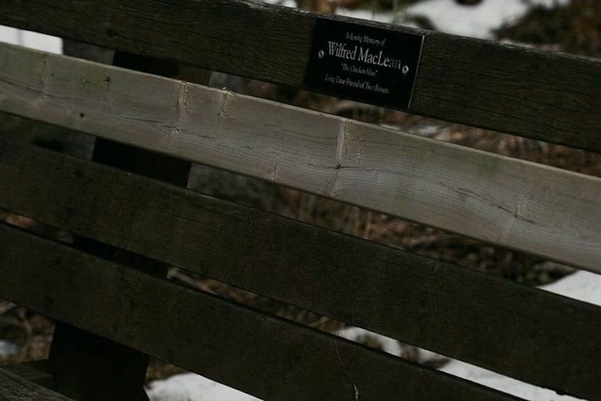 A wooden bench with a plaque. 4