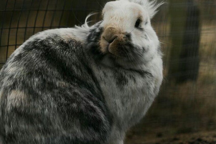 Two Rivers Wildlife Park Tour 2