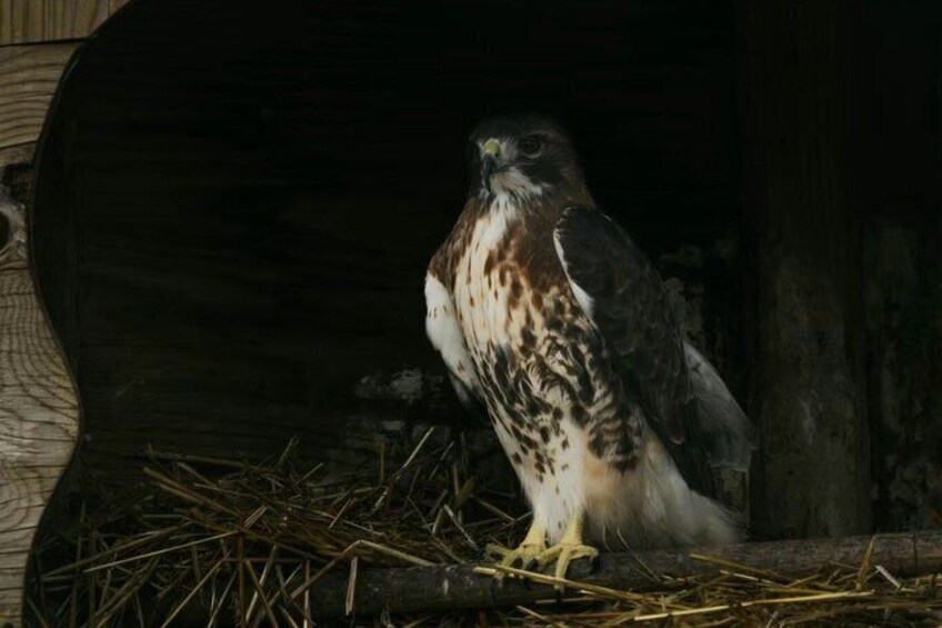 Two Rivers Wildlife Park Tour 5