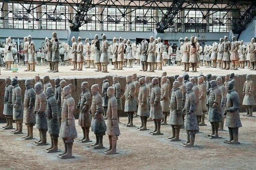 Xi'an Private Day Tour Panda Qizai and Terracotta Warriors 2