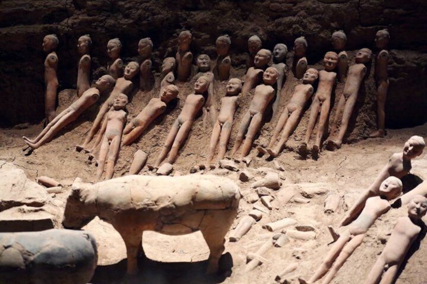 Terracotta Army and Hanyangling Museum Private Day Tour 5