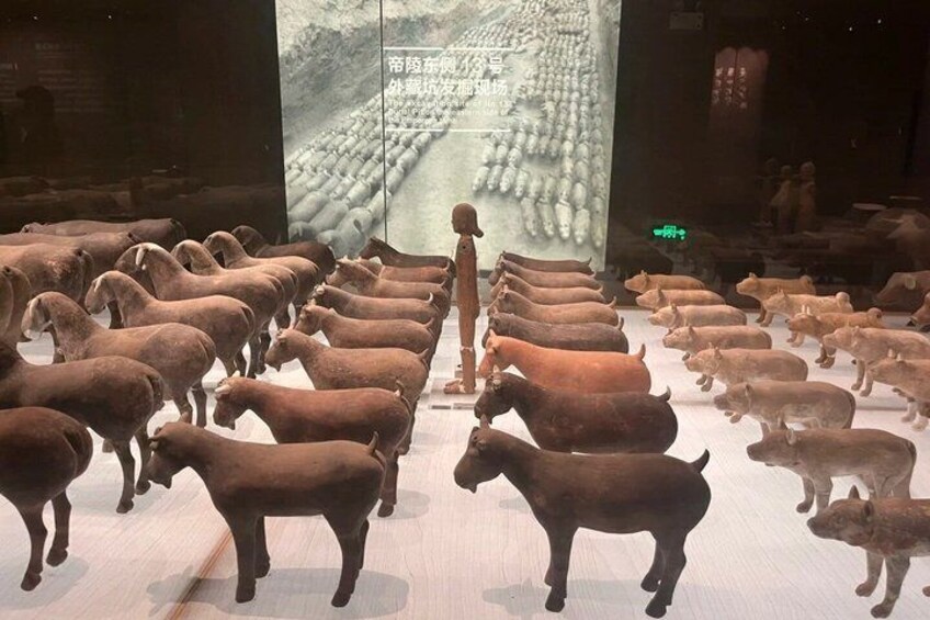 Qin vs Han Dynasties Tour Terracotta Army and Hanyangling Museum 5