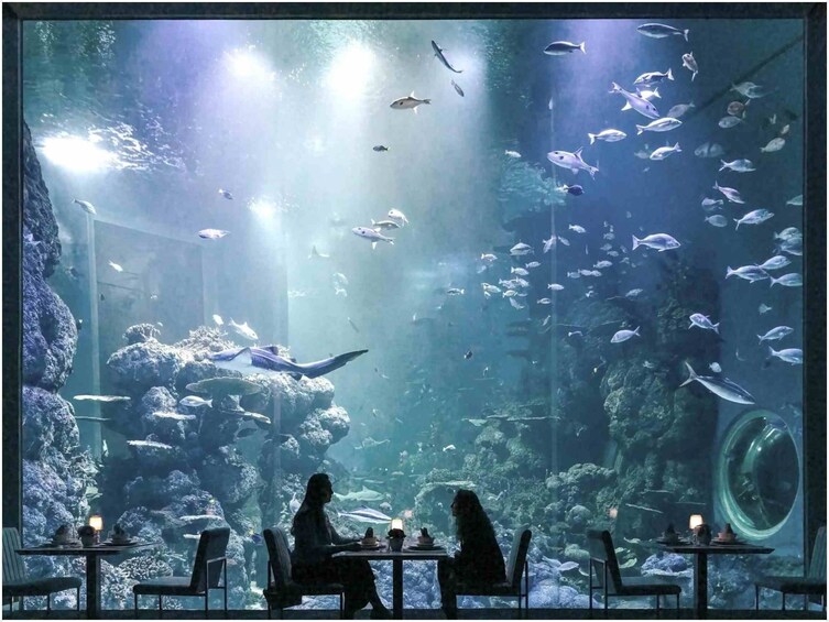 An aquarium with various fish species, a large circular viewing area, and tables for dining. 2