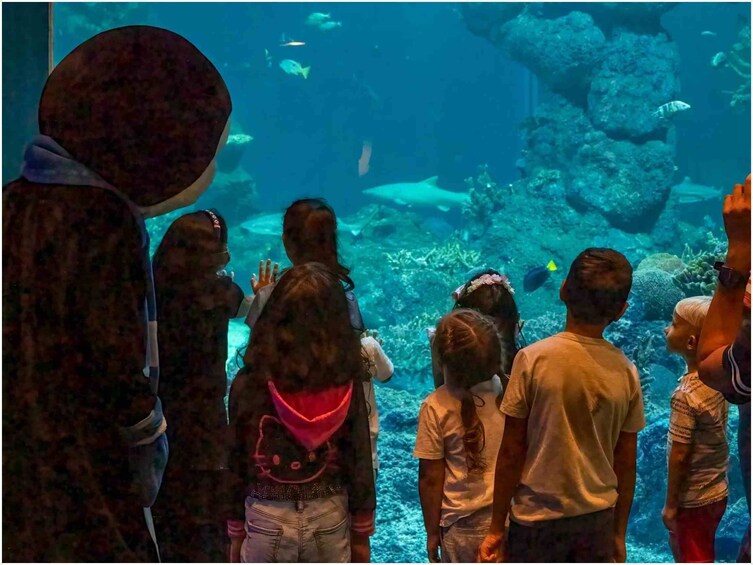 People observing marine life in an aquarium. 3