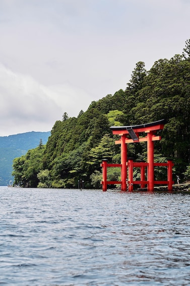 Picture 9 for Activity From Tokyo : Mt Fuji and Hakone Private Day Tour With Guide 3