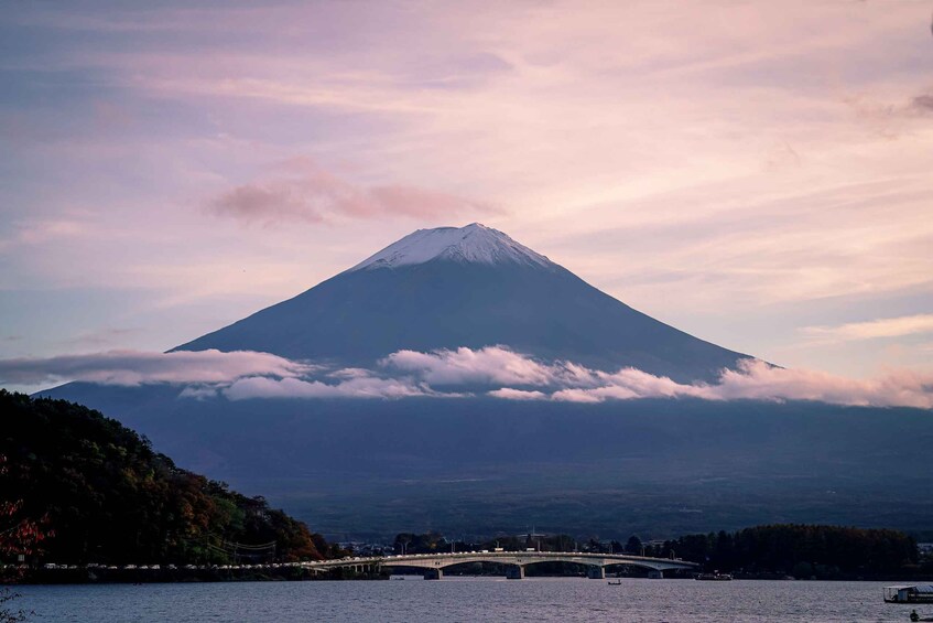 Picture 7 for Activity From Tokyo : Mount Fuji Private Day Tour With English Guide 2