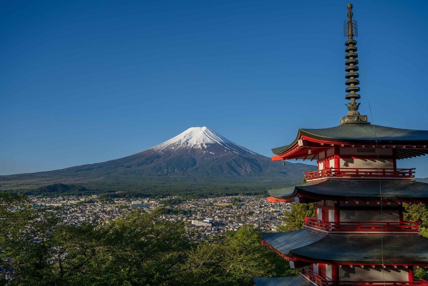 Picture 3 for Activity From Tokyo : Mount Fuji Private Day Tour With English Guide 4