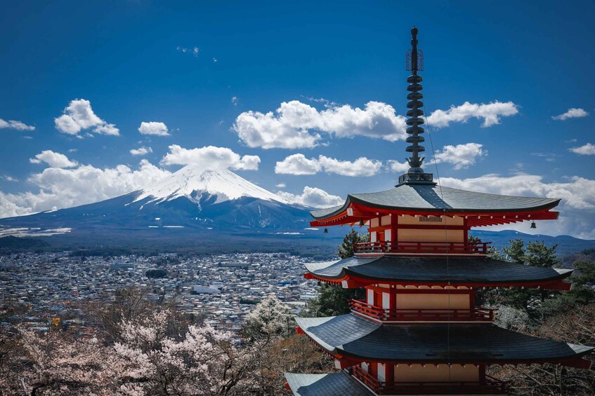 From Tokyo : Mount Fuji Private Day Tour With English Guide 1
