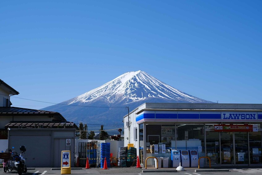 Picture 8 for Activity From Tokyo : Mount Fuji Private Day Tour With English Guide 5