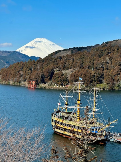 Picture 10 for Activity From Tokyo : Mt Fuji and Hakone Private Day Tour With Guide 2