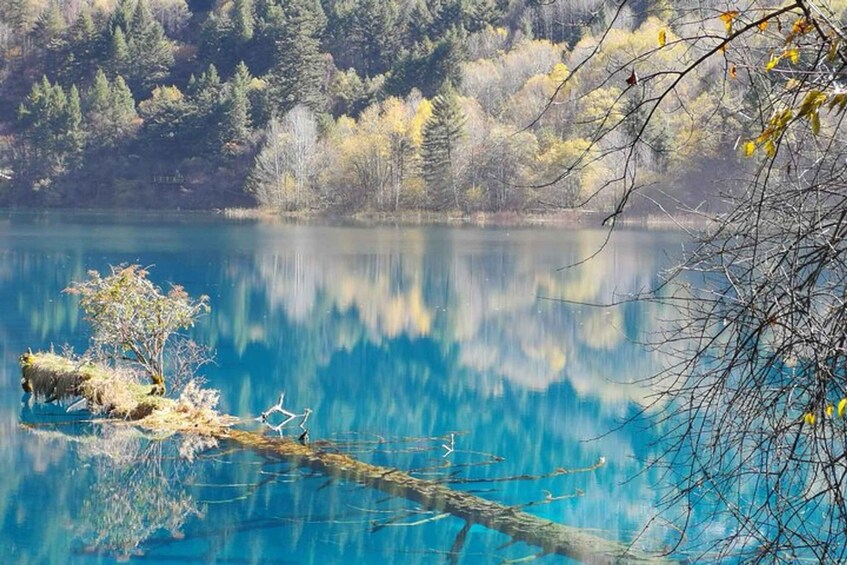 A calm lake with clear blue water, surrounded by trees with autumn foliage, and a fallen tree in the foreground. 3