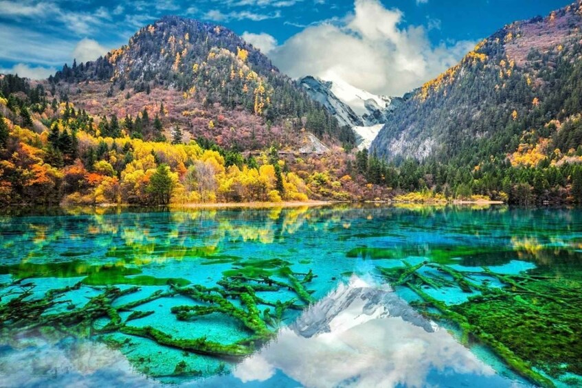 A mountain lake with clear water reflecting the surrounding autumn foliage and a distant glacier. 1