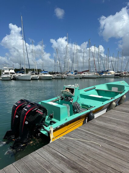 Martinique: day trip to the heart of the Mangrove 1