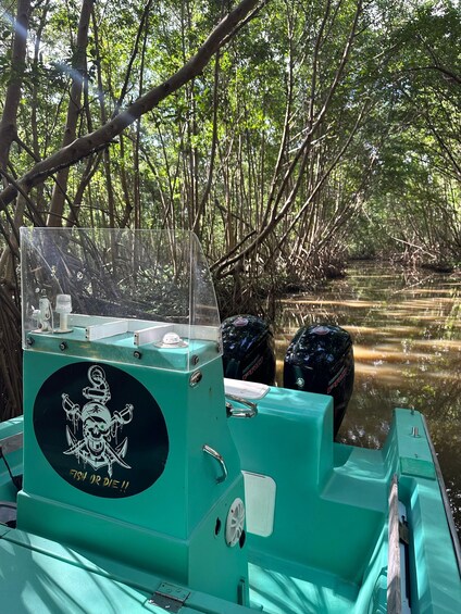 Picture 1 for Activity Martinique: day trip to the heart of the Mangrove 3