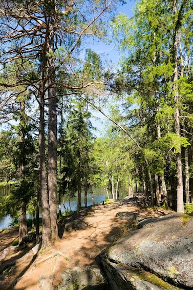 Picture 3 for Activity Oslo: Vettakollen and its stunning panorama of the fjord 3