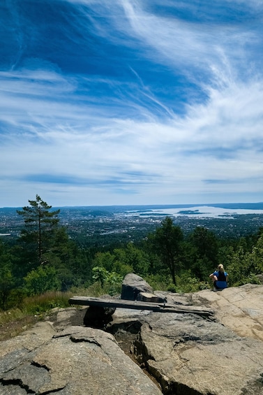 Oslo: Vettakollen and its stunning panorama of the fjord 1