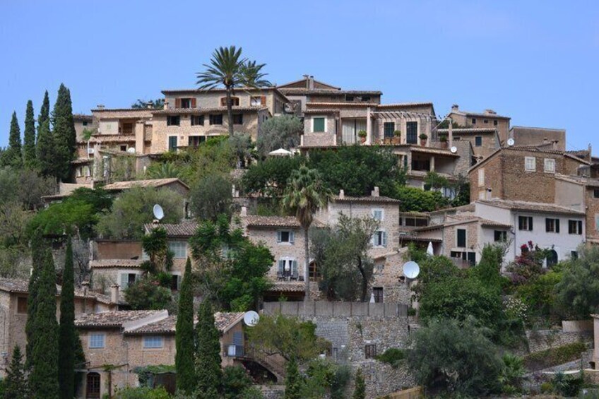 Private Tour Mallorca's West Coast and Orange Valley 5