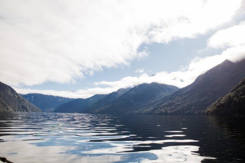 Fiordland Adventures: 2-Hour Discovery Cruise in Te Anau 3