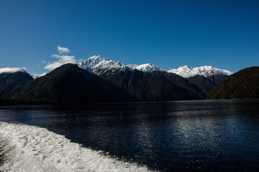 Fiordland Adventures: 2-Hour Discovery Cruise in Te Anau 2