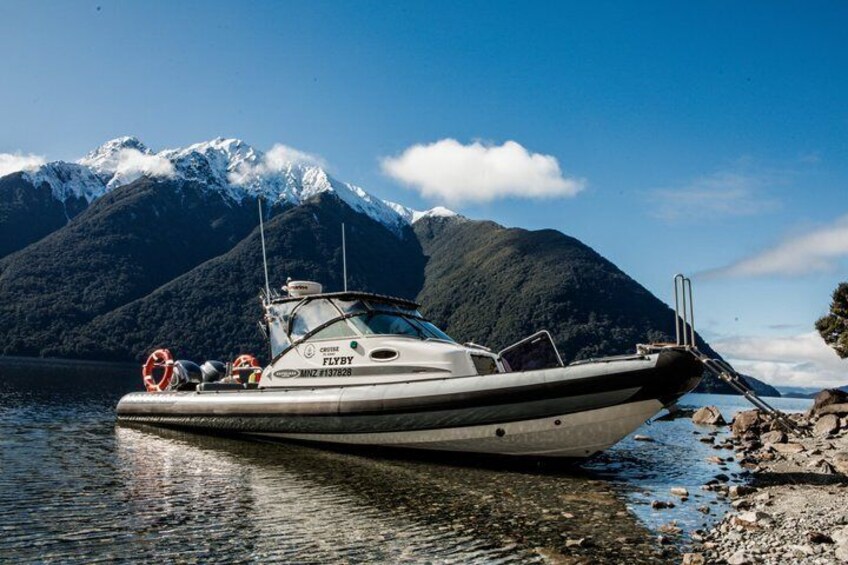 Fiordland Adventures: 2-Hour Discovery Cruise in Te Anau 1