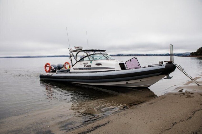 Fiordland Adventures: 2-Hour Discovery Cruise in Te Anau 4