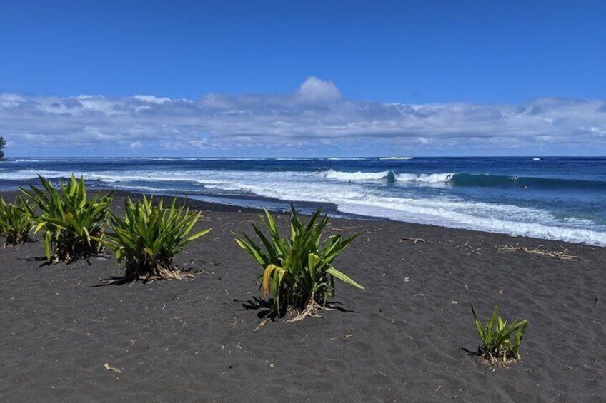 A beach with dark sand and green plants, ocean waves, and a clear blue sky. 4