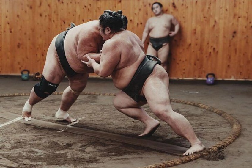 Osaka Sumo Morning Practice with Sumo Wrestlers 1