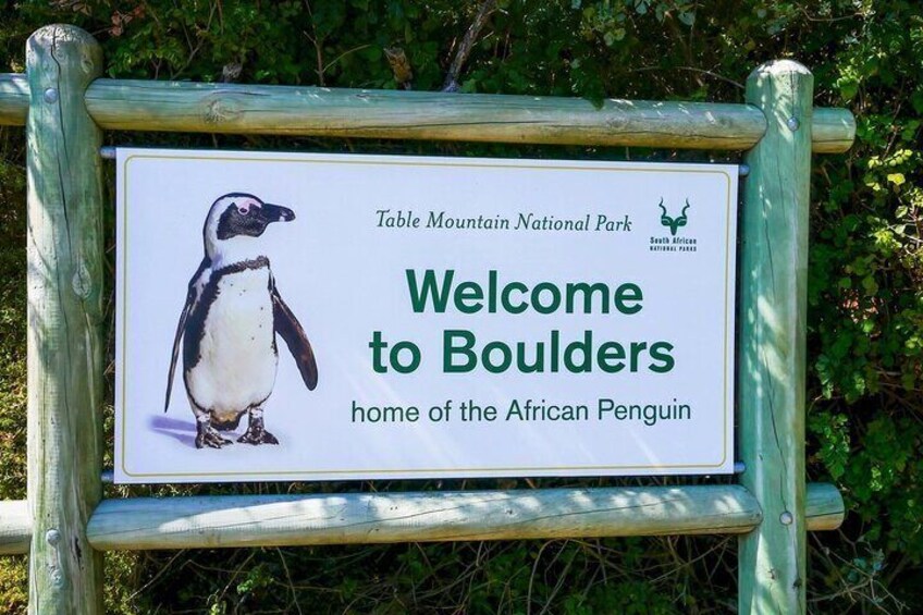 Table Mountain, Cape Point & Penguins Shared Tour 3