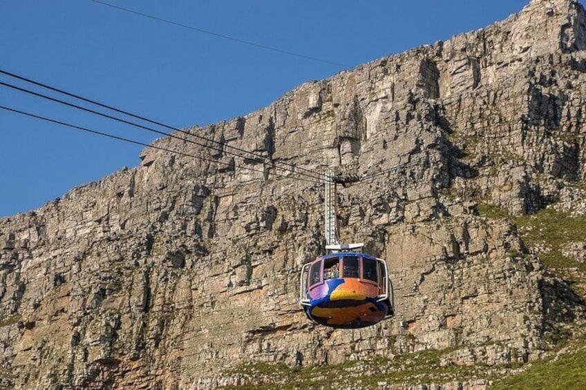 Table Mountain, Cape Point & Penguins Shared Tour 1