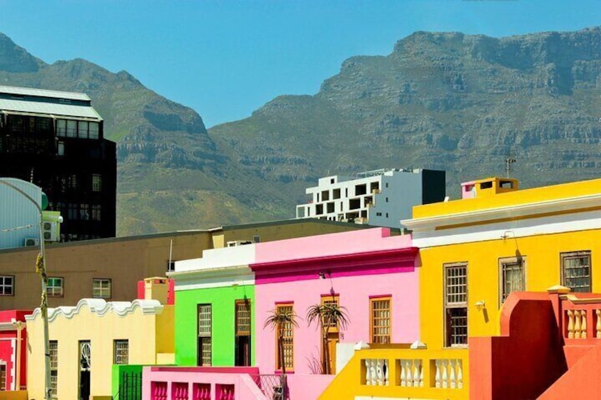 Table Mountain, Cape Point & Penguins Shared Tour 5