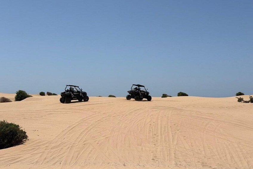 Two off-road vehicles on a sandy terrain with sparse vegetation. 3