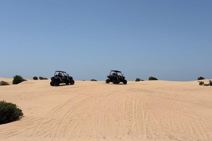 2 Seater Dune and Ocean Buggy Tour 4