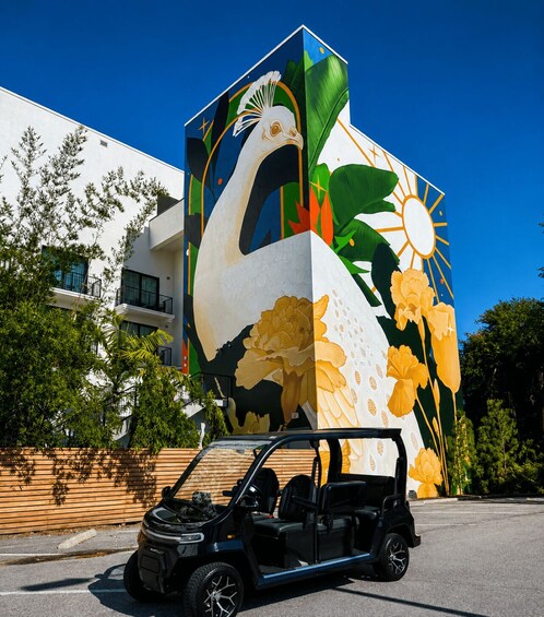 Picture 5 for Activity Private St. Petersburg City Sightseeing Tour by Golf Cart 3