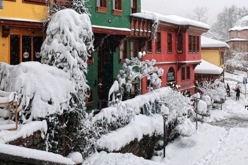 A snow-covered street with buildings, a snow-covered tree, and a snow-covered bush. 3