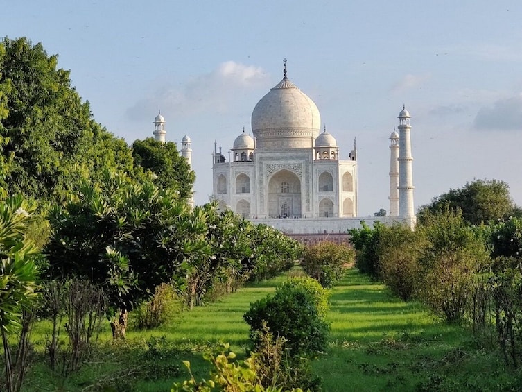 Taj Mahal, vehreän kasvillisuuden ympäröimänä ja kirkkaan taivaan alla. 4
