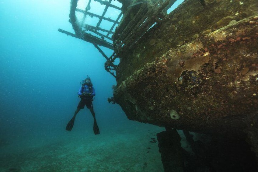 Anguilla Based: Scheduled 1 Tank Dive ( Certified Divers) 1
