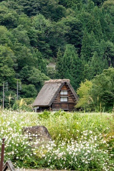 Picture 3 for Activity Nagoya: Shirakawa-go & Takayama Guided Day Trip 4