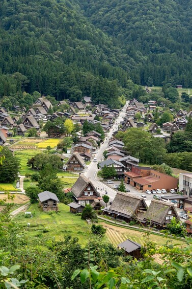 Picture 1 for Activity Nagoya: Shirakawa-go & Takayama Guided Day Trip 3
