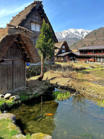 Picture 5 for Activity Nagoya: Shirakawa-go & Takayama Guided Day Trip 5