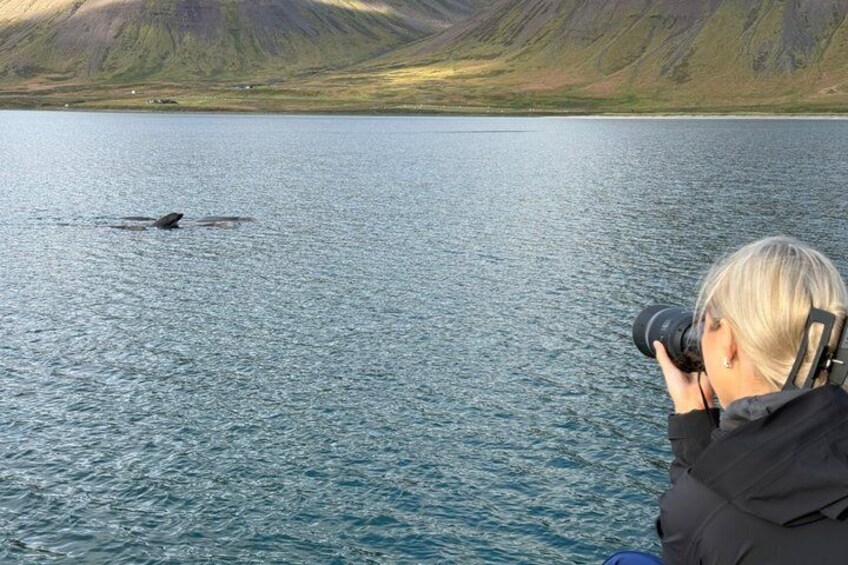 2 Hour Flateyri Village and Fjords Views Afternoon Tour 2