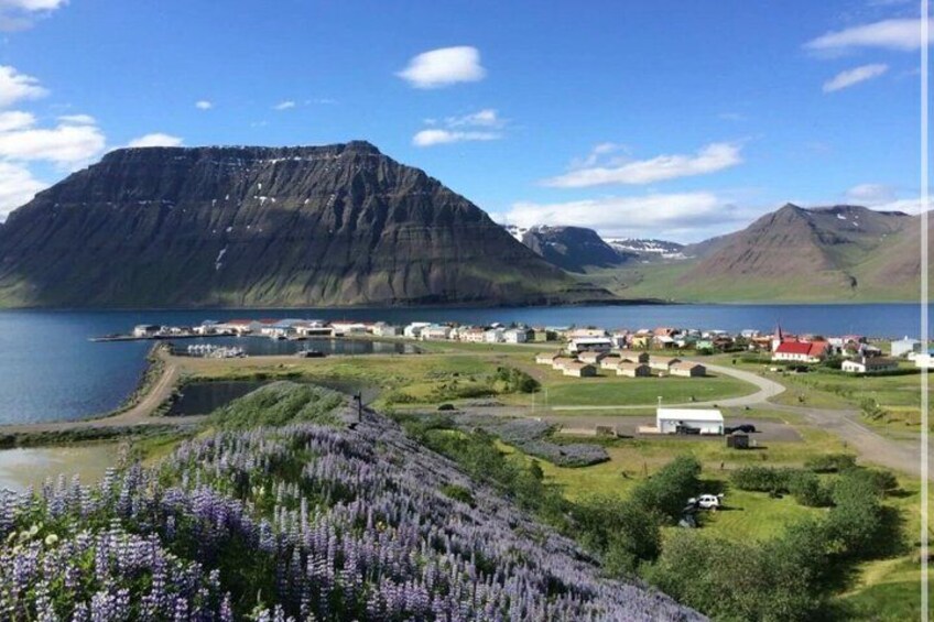 2 Hour Flateyri Village and Fjords Views Afternoon Tour 5